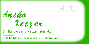 aniko ketzer business card